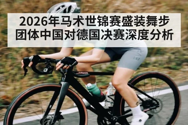 2026年马术世锦赛盛装舞步团体中国对德国决赛深度分析
